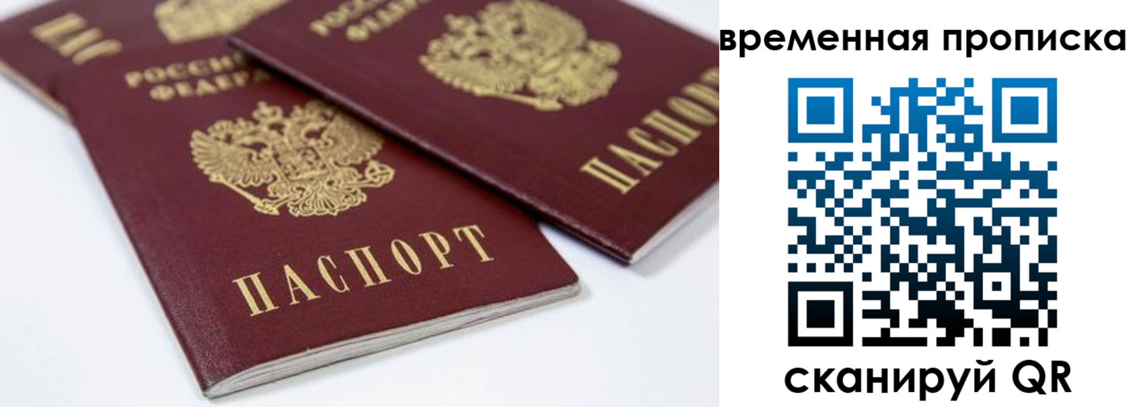 прописка для школы в Ельне