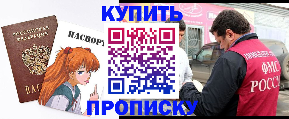 где прописаться в Ельне